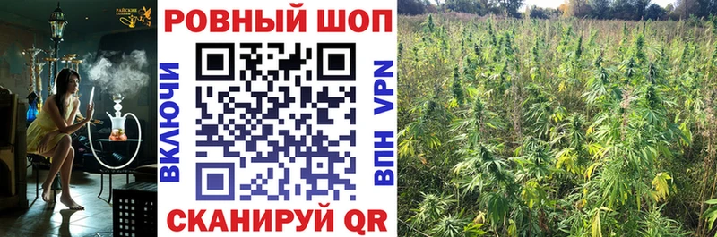 Сколько стоит Вольск Каннабис  Alpha-PVP  Мефедрон  Кокаин 