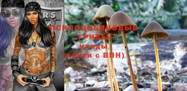 дурь Балабаново