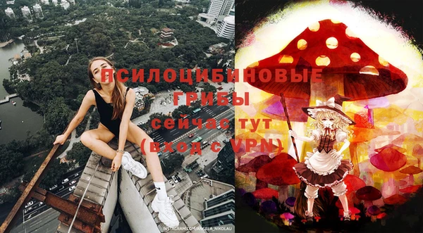 стаф Баксан