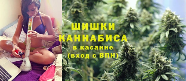 стаф Баксан