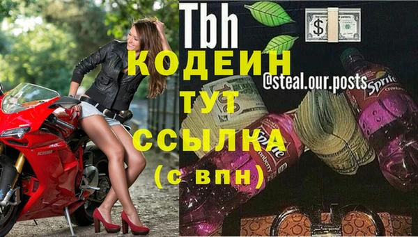 стаф Баксан