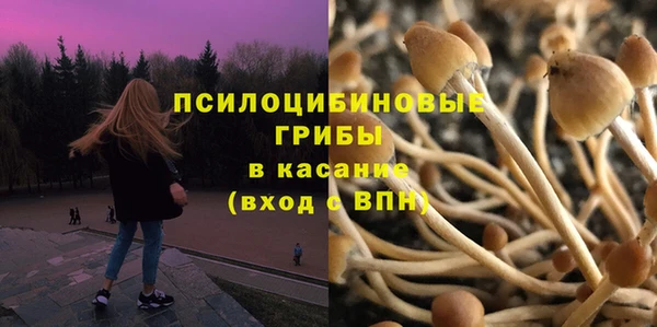 стаф Баксан