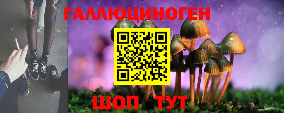 Вольск  Псилоцибиновые грибы прущие грибы  Галлюциногенные грибы прущие грибы  Вход с VPN 